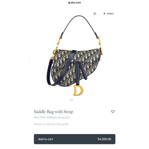 Christian Dior 💯% authentic NWOT saddle bag!